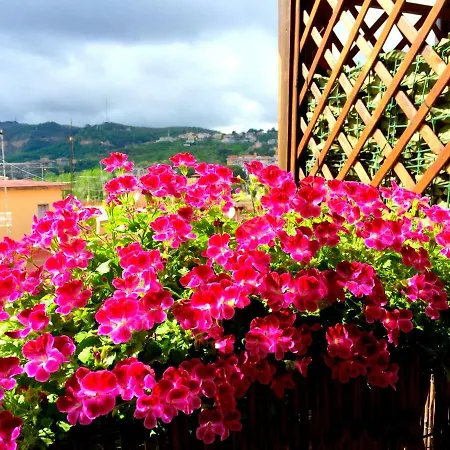 Appartement Delicia - Con Terrazza Napels